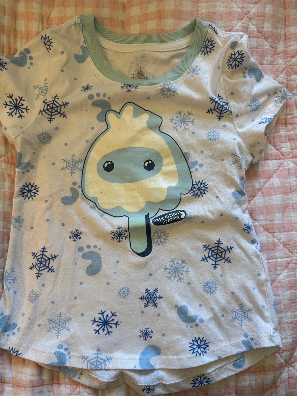 Disney Animal Kingdom Expedition Everest girls top 5/6 EUC